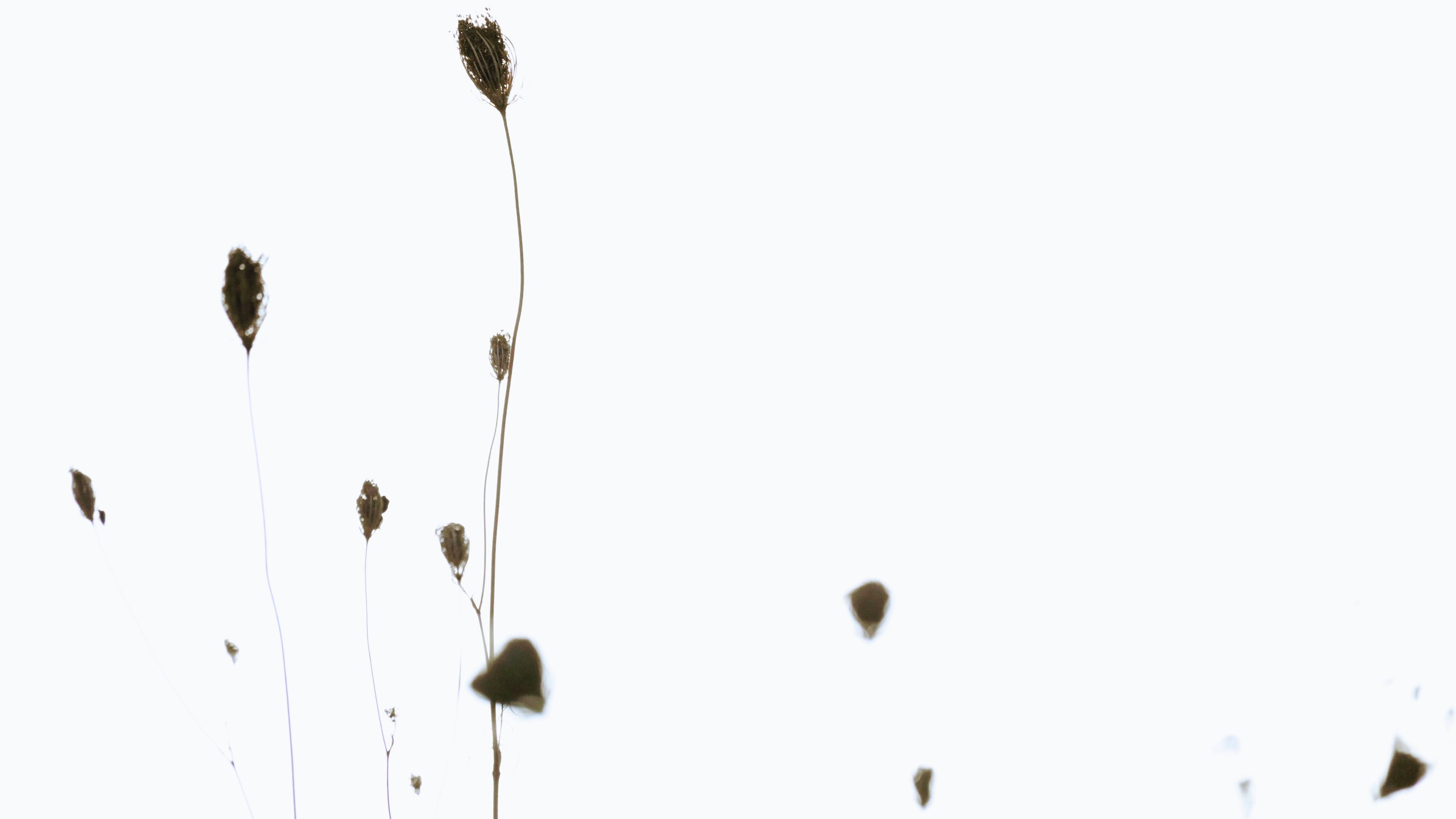 L’éloge du langage : nommer pour habiter.