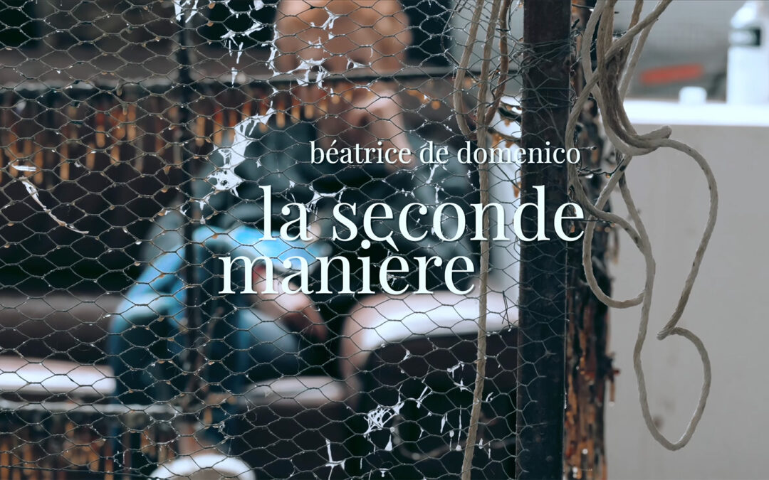 Béatrice de Domenico, la seconde manière